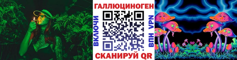 Галлюциногенные грибы Psilocybe  Сосновка 